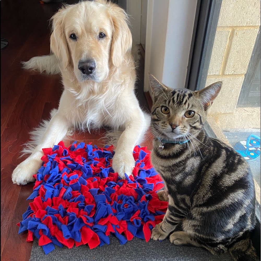 TIMMY’S SNIFFYS - MEDIUM SNIFF MAT 35cm x 35cm - Picture 1 of 5